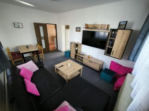 TV a/nebo společenská místnost v ubytování Apartmán u potoka