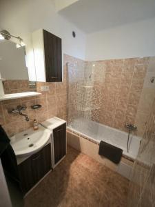 a bathroom with a shower and a sink and a tub at Apartmán u potoka in Kestřany