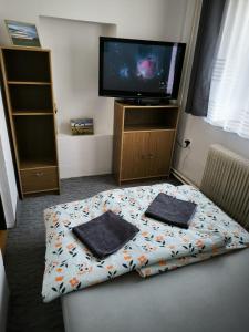 a room with a bed and a flat screen tv at Apartmán u potoka in Kestřany