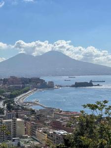 Příroda nedaleko penzionu