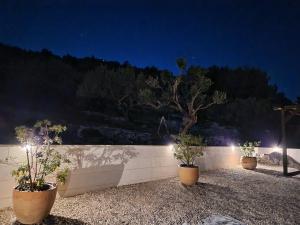 Galeriebild der Unterkunft Villa Olivetum in Marina