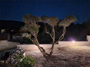 Galeriebild der Unterkunft Villa Olivetum in Marina