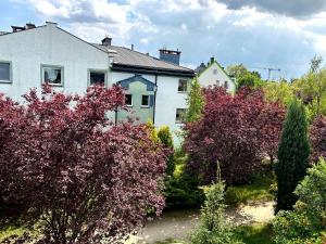 a white house with purple trees in front of it at Apartament Kozia in Wrocław