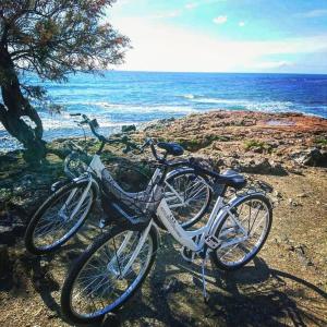 two bikes parked on a rocky beach near the ocean at Hotel Ariston in Livorno
