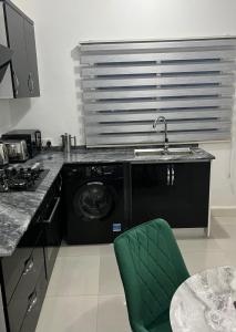 uma cozinha com um lavatório e uma máquina de lavar roupa em Lisa's Legacy Apartment em Tranquil