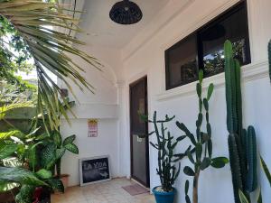 een kamer met cactussen en planten voor een deur bij La Vida Hostel in Puerto Princesa City
