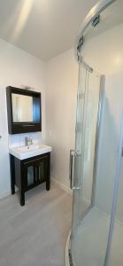 a bathroom with a sink and a mirror at Sea views from sunny house in Wellington