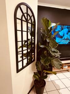 a plant in a room with a mirror and a tv at Shepherds Inn in Boksburg