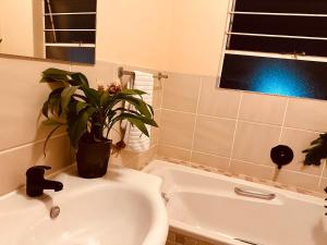 Billede fra billedgalleriet på Shepherds Inn i Boksburg + 15 billeder