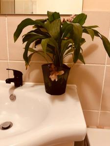 Billede fra billedgalleriet på Shepherds Inn i Boksburg