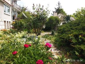 a garden with pink flowers in front of a house at Деспина in Balchik