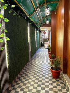 un pasillo con una pared verde con macetas en Cozy homestay Varanasi en Varanasi