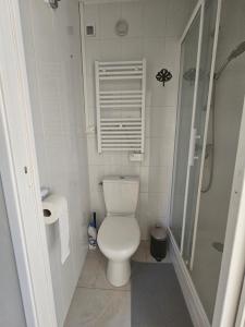 a small bathroom with a toilet and a shower at Le Vinci /Maison près du château in Amboise +23 photos
