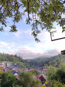 Naturlandskabet i nærheden af feriehuset