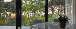 a glass table with a potted plant in front of a window at Pine & Sun Apartment - Hevenia Pogorzelica in Pogorzelica