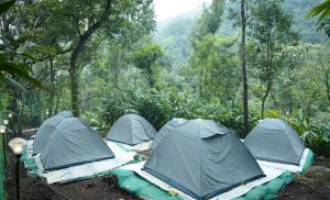Příroda nedaleko luxury tent