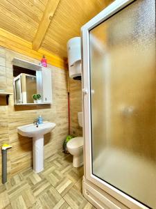 a bathroom with a shower and a sink and a toilet at Genti House Ada Bojana in Ulcinj