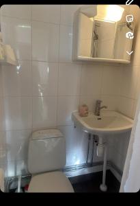 une salle de bains avec toilettes et lavabo dans l'établissement Yksiö lähellä Kupittaa Rautatieasemaa Turku, à Turku 14 autres photos