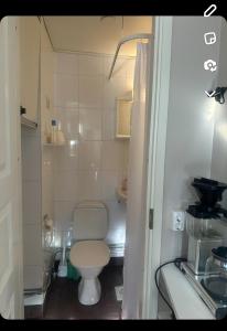 une petite salle de bain avec toilettes et lavabo dans l'établissement Yksiö lähellä Kupittaa Rautatieasemaa Turku, à Turku