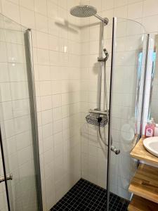 a bathroom with a shower and a sink at Melrose Place in Helsinki +10 photos