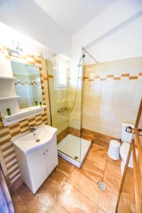 a bathroom with a shower and a sink and a toilet at Angelina Hotel & Apartments in Sidari