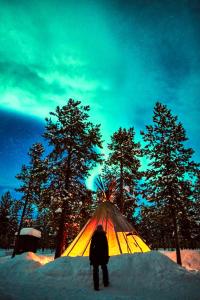 Reindeer Lodge v zimě + 44 fotografií