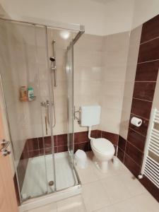een badkamer met een toilet en een glazen douche bij Lucky center Ljubljana in Ljubljana