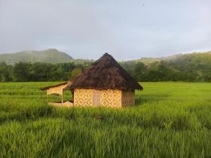 a small hut in a field of green grass at Tado Homestay in Limbung +17 photos