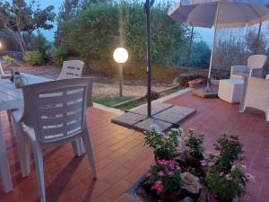 A garden outside Domus Anxur