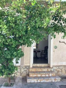 un edificio con una porta aperta con un albero di Lemon tree a Filiatrá