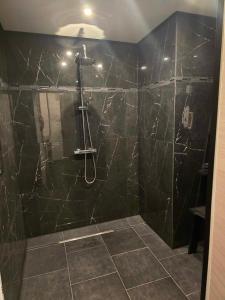 a bathroom with a shower with black marble walls at Les bulles d'or in Flémalle-Grande