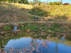 Paesaggio naturale nelle vicinanze dell'affittacamere