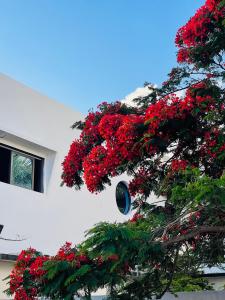 Fotografie z fotogalerie ubytování Appartement meublé en plein centre-ville de Diego Suarez v destinaci Diego Suarez