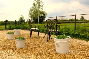 een tuin met een stoel en potplanten bij The Loft at the Croft - Stunning rural retreat perfect for couples & dogs in Leigh
