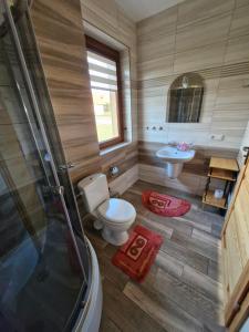 łazienka z toaletą i umywalką w obiekcie Żwirowa Góra - Domki nad Narwią w Tykocinie