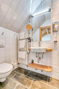 a bathroom with a toilet and a sink at Ringhotel Forellenhof in Walsrode