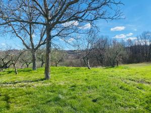 Příroda nedaleko prázdninového domu