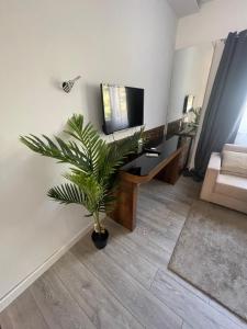 a living room with a tv and a potted plant at Mediteraneo in Dubrovnik