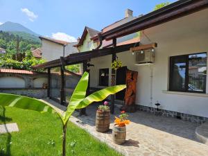 a house with a plant in front of it at Cozy Rooms in Vratsa by Georgievi in Vratsa