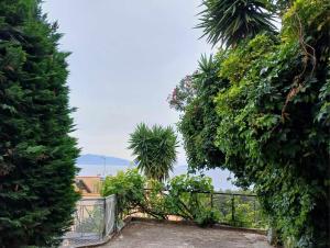 - une vue depuis un jardin entre deux arbres dans l'établissement Anatoli apartment, à Mytilène