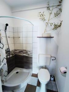 a bathroom with a toilet and a shower and a sink at Caesar Residence in Budapest