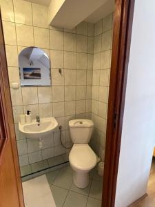 małą łazienkę z toaletą i umywalką w obiekcie Agroturystyka u Ireny w mieście Mizerna