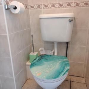 La salle de bains est pourvue de toilettes et d'un siège peint. dans l'établissement Atlantic Point Stunning Sea View, à Bundoran