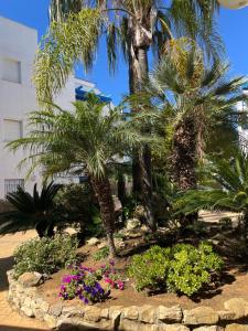 un jardín con palmeras y flores frente a un edificio en Apartamento en Costa Ballena, Urb. Playa Ballena, en Cádiz