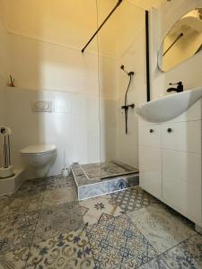a bathroom with a shower and a sink and a toilet at Hostel Moravia Ostrava in Ostrava