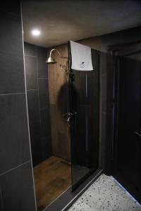 a shower with a glass door in a bathroom at MAVİ AT HOTEL Blue Horse in Gümüşdere