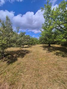 Photo de la galerie de l'établissement Cabana Porolissum, à Moigrad