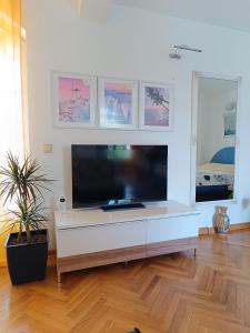 TV o dispositivi per l'intrattenimento presso Vila Sentić