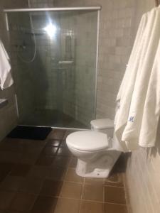 une salle de bain avec toilettes et douche dans l'établissement Casa de Campo em Recife, à Jaboatão dos Guararapes