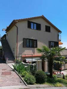 una casa blanca con ventanas negras y una palmera en Apartman Vrh, en Matulji